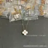 Versión Alta V Oro Collar de Trébol de Cuatro Hojas para Mujeres Diseño de Nicho Lujo Ligero Ágata Roja Flor de Nácar Cadena para Clavícula Venta al por Mayor de Fábrica