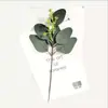 Decoración de Arreglo Floral de Eucalipto Artificial y Muguete de Amazon, Hojas de Eucalipto Transfronterizas, Gypsophila, Margaritas Pequeñas, Follaje Artificial