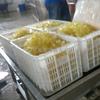 Tanque de Infusión de Azúcar al Vacío Equipo de Infiltración de Azúcar Conservado al Vacío Máquina de Infusión de Azúcar al Vacío de Jengibre