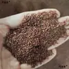Materiais Medicinais Chineses Nantianxianzi Autêntico Yunnan Tianxianzi Nantianxianzi Nantianxian Materiais Medicinais Chineses Atacado