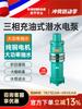 Bomba sumergible llena de aceite QY10-100 riego de tierras de cultivo cuadradas fuente 380V trifásica bomba de alta potencia