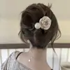 AccesoriosAl por Mayor Ligas para el Cabello, Pinzas para el Cabello, Pasadores, Diademas, Aretes, Bandas para la Cabeza, Adornos para el Cabello para Mujer