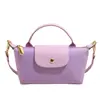 Moda Retro Versátil Transfronteriza Bolso de Mujer Primavera y Verano 2025 Bolso de Mujer Hombro Cruzado Llevado a Mano Nylon de Alta Gama Bolso Dumpling