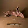 Novo Paisagismo com Madeira Flutuante Estilo Chinês, Adereços Fotográficos de Madeira Morta, Fotografia de Natureza Morta com Joias, Galhos, Enfeites Decorativos de Madeira