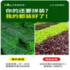 Parede de Plantas Simuladas Parede de Plantas Verdes Tridimensional Flores Artificiais Bíônicas Superfície de Parede de Fundo Paisagem Decoração de Parede Externa de Loja