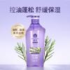 Champú Flor de Abeja Aceite de Jengibre Fortalecedor Control de Grasa Champú Voluminizador Fragancia de Larga Duración Champú Hidratante 600ml