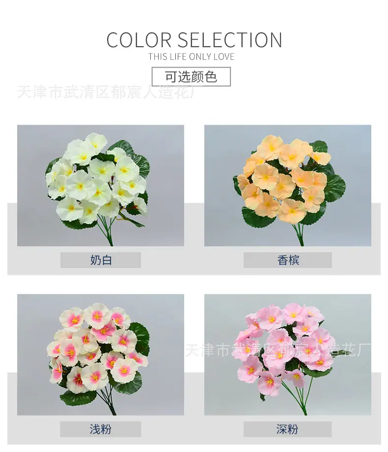 详情_02.jpg