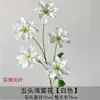 Nova Flor Begônia de Cinco Cabeças Casamento Flor Artificial Atacado Celebridade da Internet Decoração de Casamento Decoração Suave Adereços de Fotografia Flor Falsa
