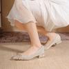 Zapatos de Tacón Grueso de Doble Uso con Faldas, Zapatos Diarios de Punta Fina de Boca Baja para Mujer, Nuevo Estilo Primavera y Verano 2025, Hermosos Zapatos Franceses para Boda de Mujer