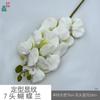 Padrão de modelagem 7 cabeça Phalaenopsis cola sentir Phalaenopsis estúdio fotográfico adereços flor de simulação janela bonita Chen