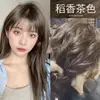 2026 Nuevo Modelo Subsidio de Diez Mil Millones Polvo para Teñir el Cabello Color Gris-Marrón Crema para el Cabello Color Lino Marrón Color Té Negro Cuidado del Cabello
