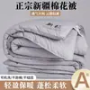 Colcha de algodón de Xinjiang Clase A, colcha de invierno gruesa de algodón puro, colcha de primavera y otoño, núcleo de colcha 100% algodón, ropa de cama para dormitorio de estudiante, colcha de algodón