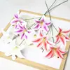 Comercio Exterior Transfronterizo Impresión 3D Película de Pu Lirio Perfume Flor de Lirio Artificial Humectante Flor Seca Boda Flor Artificial