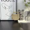 Bolso de Sardina de Diseño de Nicho 2025 Nuevo Bolso de Mano Tejido de Moda Casual Mini Bolso Cruzado de Hombro W