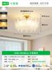 Luz de Techo para Dormitorio, Luz de Techo para Comedor, Luz de Techo para Sala de Estar, Luz de Dormitorio, Luz de Cristal de Lujo Francés, Iluminación Zhongshan para Habitación 413L