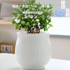 Maceta de cerámica de una pieza para el cabello, extragrande, ligera, de lujo, estilo Ins, de alta calidad, para el hogar, con flores carnosas de Phalaenopsis.