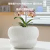 Maceta Grande de Cerámica con Bandeja para Uso Doméstico, Diseño Creativo y Único para Plantas Verdes, Chlorophytum y Suculentas