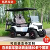 Comercio Exterior Transfronterizo Carrito de Golf de Cuatro Ruedas Eléctrico Coche Turístico Eléctrico para Lugares Turísticos Carrito de Golf Eléctrico