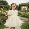 Vestido europeo y americano para bebé, vestido para niño pequeño, vestido para el primer cumpleaños, vestido de princesa con mangas abullonadas florales de comercio exterior, vestido infantil de línea A