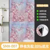 Película de Vidrio Opaca Total Estilo Ins Transfronteriza, Anti-Miradas Indiscretas, Parasol, Película para Ventana de Protección Solar, Pegatina Opaca para Ventana