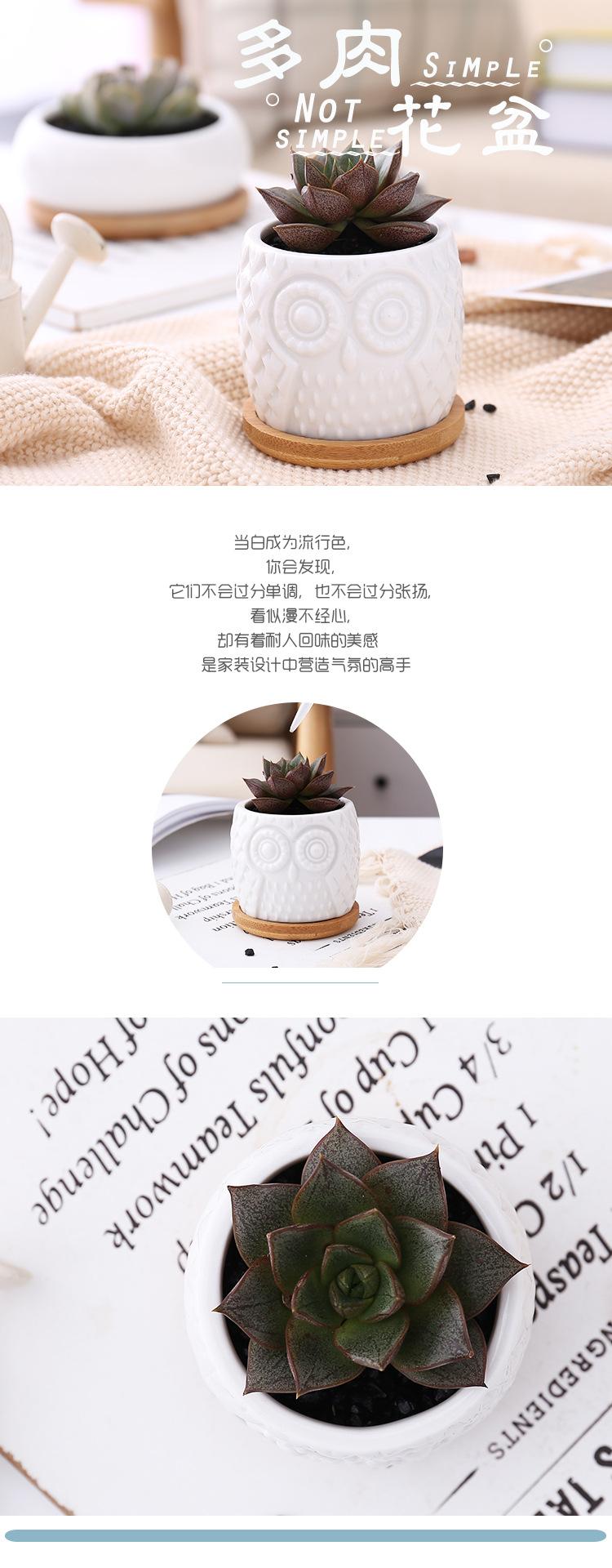 猫头鹰＋竹托_01
