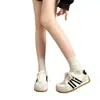 Zapatos de Entrenamiento Alemanes Retro de Suela Gruesa con Plataforma Oculta para Aumentar la Altura para Mujer 2026 Nuevos de Primavera Versátiles Zapatos Blancos Estilo Forrest Gump Zapatos Deportivos Casuales
