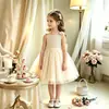 Amazon Crianças Bebê Aniversário Primeiro Aniversário Bolo Fofo Gaze Vestido Princesa Laço Vestido Formal