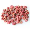 Casca de fruta faça você mesmo, pinha, lascas de madeira, folhas, flores secas, combinação de frutas secas, decoração de natal, decoração de jardim de infância, adereços retrô