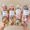 Nueva Pinza para el Cabello Caja de Regalo para Niños Pinza Pequeña Accesorios para el Cabello Tocado de Flor Linda Pinza de Joyería Colorida para Bebé Cabello Suelto