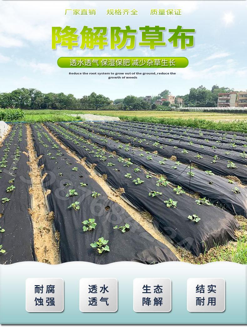 防草无纺布_02