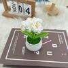Flores de Hilo Tejidas a Crochet, Tulipanes Pequeños en Maceta, Girasoles, Regalos para Mejores Amigos y Parejas, Regalos de Boda, Flores Conservadas, Flores Secas