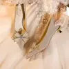 Novos Sapatos de Casamento Borboleta Cor Champanhe 2025 para Mulheres, Bico Fino Salto Baixo Salto Alto