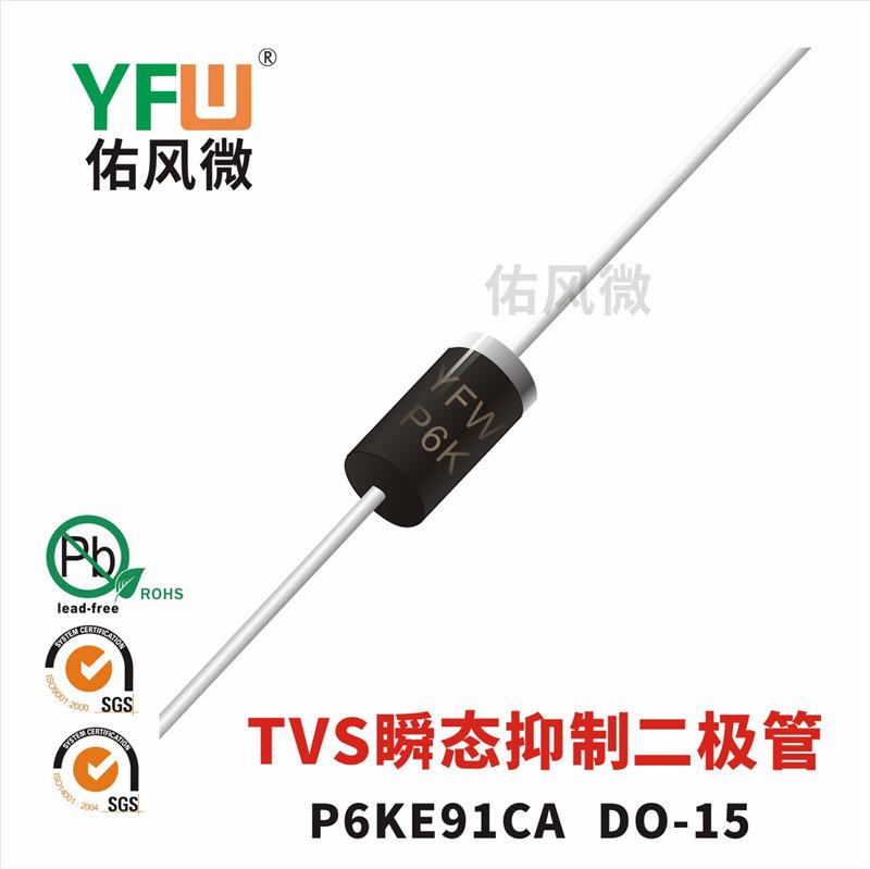 P6KE91CA白.jpg