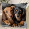 Funda de Almohada de Perro de Alpaca Más Vendida Transfronteriza, Linda Funda de Cojín Decorativa para Dormitorio de Gato, Hogar, Sofá