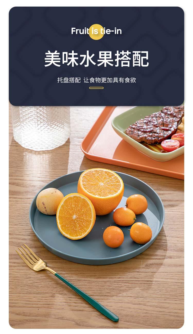 托盘_05.jpg