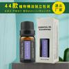 44 Tipos de Aceites Esenciales de Planta Única Transfronterizos a Base de Aceite: Aceites Esenciales de Tomillo, Valeriana, Árbol de Té, Lavanda, Aceites de Incienso, Aceites de Aromaterapia