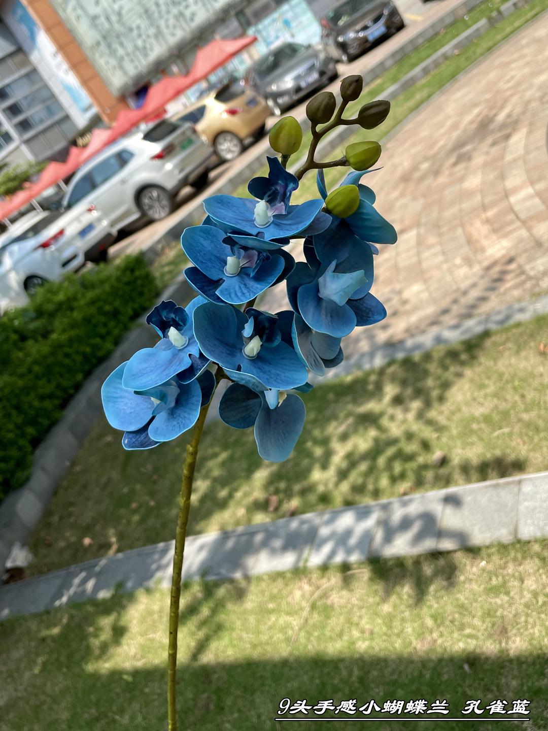 微信图片_20210724103046_副本.jpg