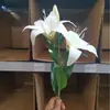 Combinación de Flores Artificiales Blancas Magnolia Phalaenopsis Rosa Diente de León Decoración Escénica de Boda Material de Flor Artificial Fabricante
