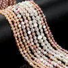 Jingde Jewelry Perla Natural Pulido Doble Cara Agujero Horizontal Cuentas Sueltas Accesorios para Joyería DIY Fabricante Venta al por Mayor en Stock
