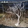 Paisaje de ramas secas tronco de árbol de ramas secas árbol de los deseos árbol muerto ramas de estilo navideño para interiores tronco de ramas ramas de madera cruda árbol decorativo