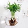 Maceta Colgante para Planta de Aire Florero Contenedor para Planta de Aire Contenedor para Planta Colgante de Pared