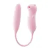Huevo Vibrador Lady Misteriosa Vibrador de Succión Control Remoto Interactivo APP Juguete Femenino Productos Sexuales para Adultos Serie Completa