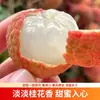 Lichias Frescas 2026, Colhidas e Enviadas Frescas, Lichias de Hainan com Fragrância de Osmanthus, Primeira Safra de Maturação Precoce, Enviadas por Ar, Envio Direto de Uma Peça