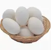 Huevos de Ganso Frescos Más Vendidos, Huevos de Ganso de Granja Criados en Libertad, Huevos de Ganso Criados en Aguas de Río Salvaje, Huevos Grandes y Buenos
