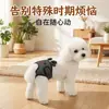 Nuevos Pantalones Fisiológicos para Perra para Uso en Exteriores, Pantalones de Seguridad Portátiles Anti-Acoso, Suministros para Mascotas Ajustables y Cómodos