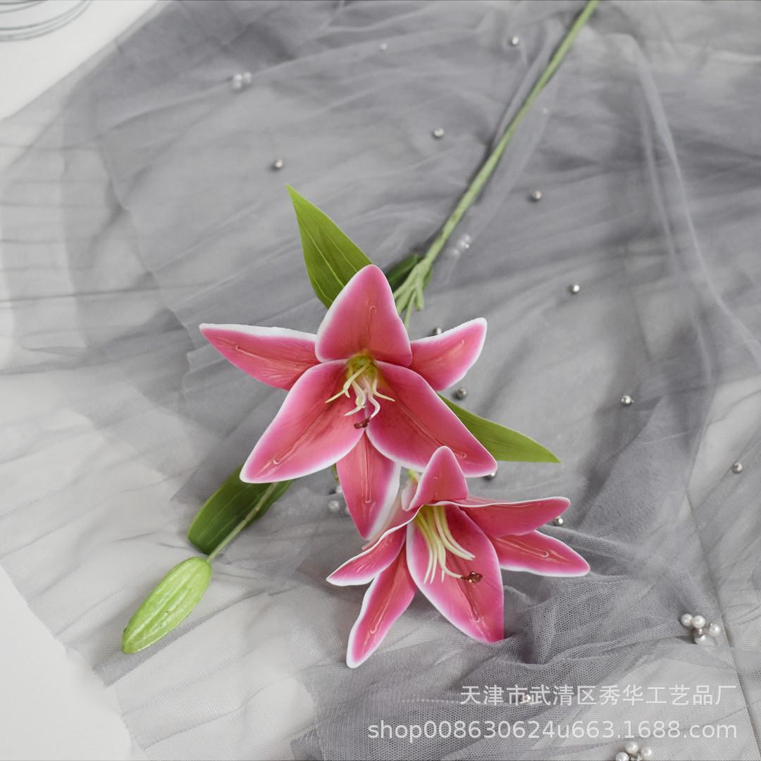 百合玫红