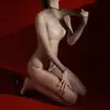 Body Sexy Aurora Brillante Ajustado de Una Pieza de Alta Densidad de 512 Agujas, Cuello Alto, Ultra Delgado, 5D