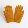 Luvas Populares Transfronteiriças de Toque com Grade Abacaxi para Homens e Mulheres, Ciclismo de Inverno Escovadas à Prova de Frio Estudantes, Quentura de Outono e Inverno