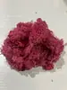 Musgo de Reno Preservado Flor Seca DIY Paisajismo Micro Paisaje, Botella Ecológica, Planta en Maceta de Vidrio, Cubierta de Suelo para Bonsái