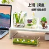 Bainabangshou Tanque de Peces con Planta Verde de Escritorio Caja Transparente de Plástico Mini Tanque de Peces de Oficina